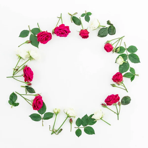 Schöne rote und weiße Rosen — Stockfoto