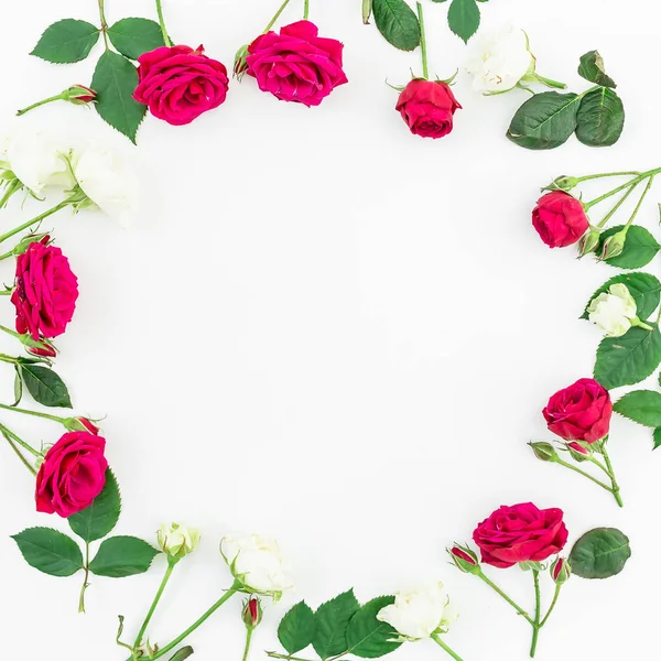 Belas rosas vermelhas e brancas — Fotografia de Stock