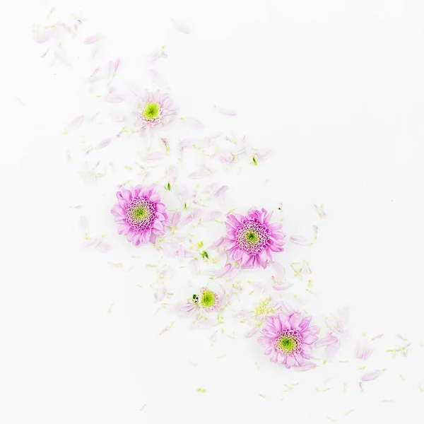 하얀 배경의 아름다운 꽃들 — 스톡 사진
