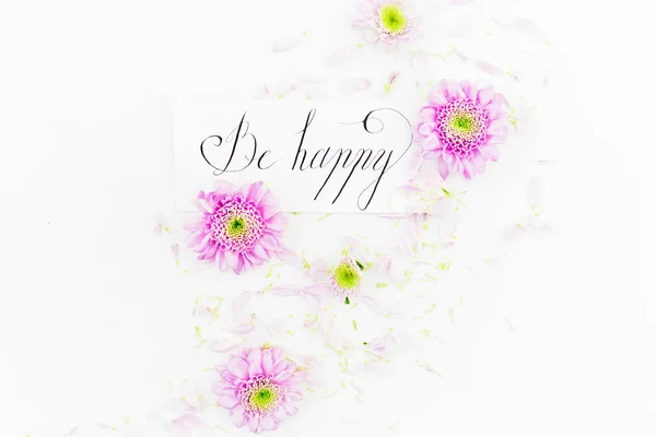 Beautiful  flowers on white background — Stock Photo, Image