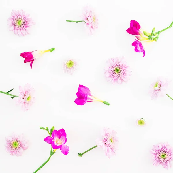 Όμορφα λουλούδια σε λευκό φόντο — Φωτογραφία Αρχείου