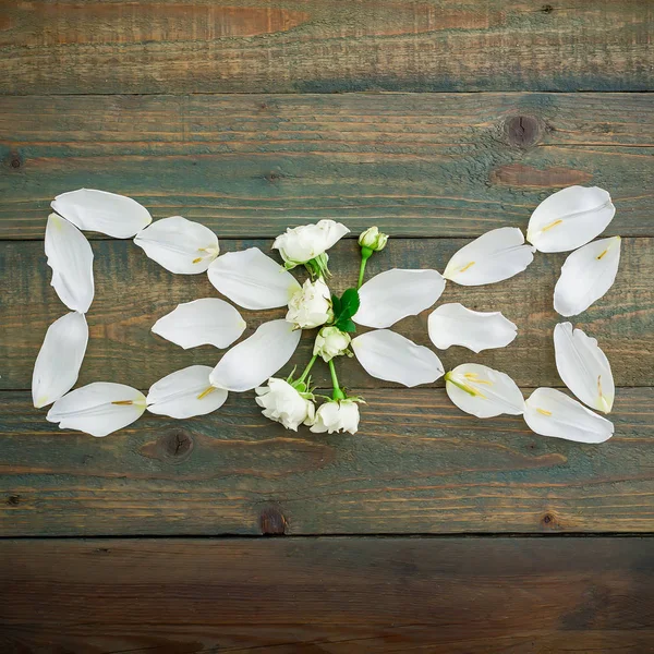 Belas flores em fundo de madeira — Fotografia de Stock