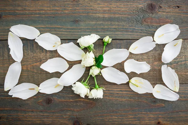 Belas flores em fundo de madeira — Fotografia de Stock