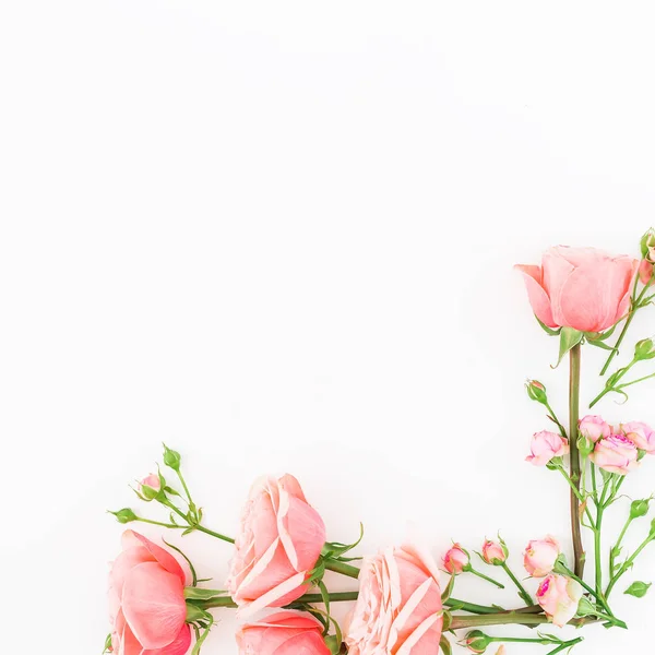 Rosas cor-de-rosa em branco — Fotografia de Stock