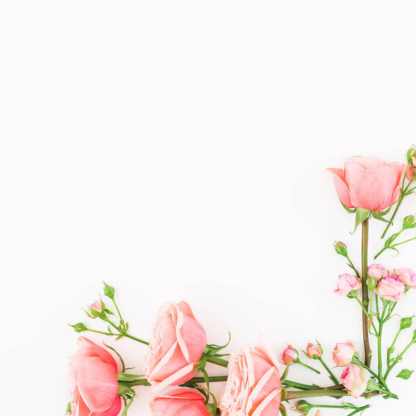 pink roses on white