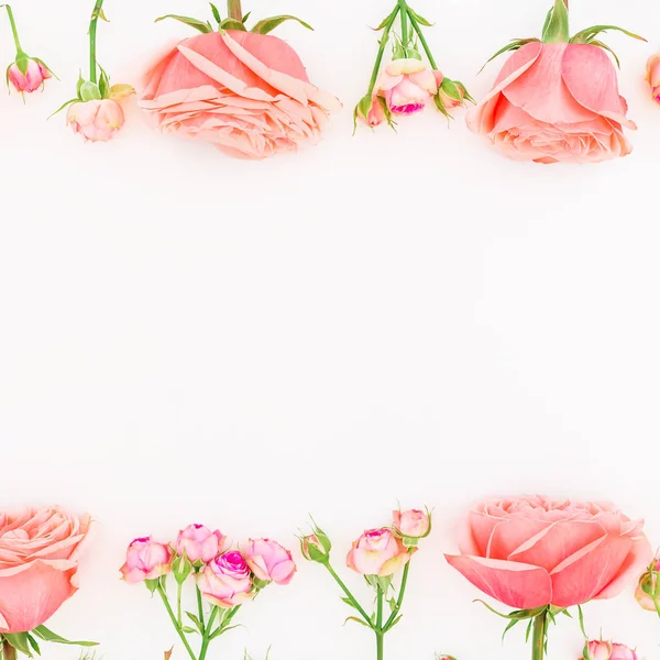Beyaz üzerine pembe güller — Stok fotoğraf