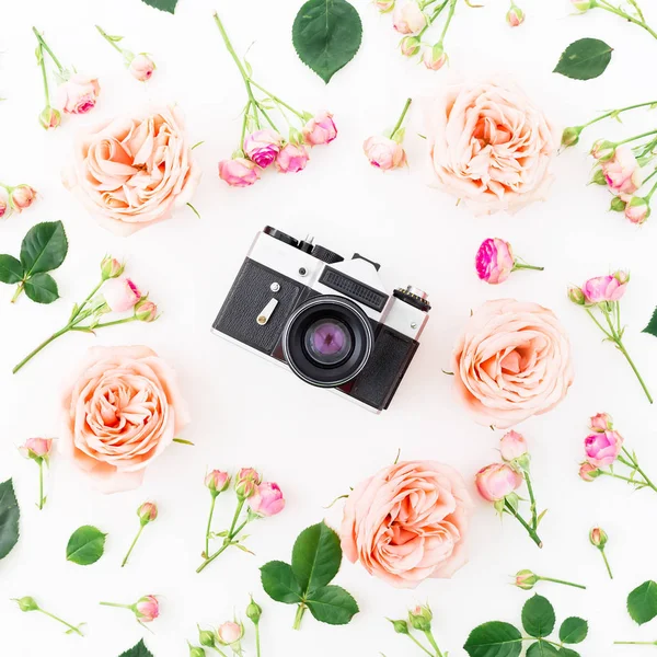 Ροζ τριαντάφυλλα και κάμερα — Φωτογραφία Αρχείου