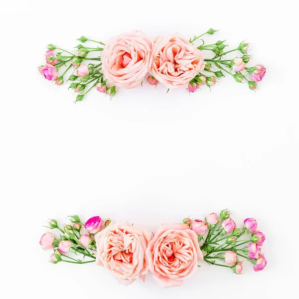 Pink roses on white — Stock Photo, Image