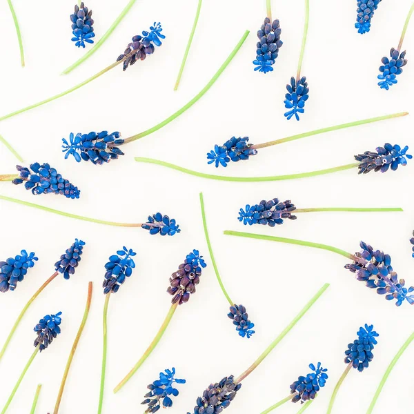 Flores azules con espacio de copia — Foto de Stock