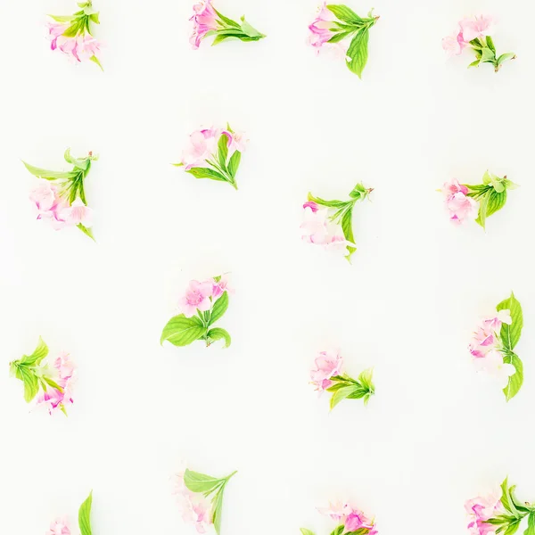 Τρυφερό ροζ λουλούδια — Φωτογραφία Αρχείου