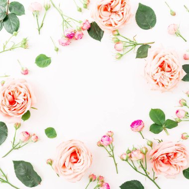 beyaz üzerine pembe güller