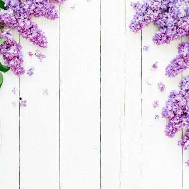 Beyaz arka plan üzerinde leylak