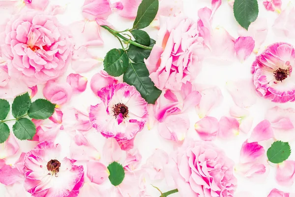 Rosas rosa macias — Fotografia de Stock