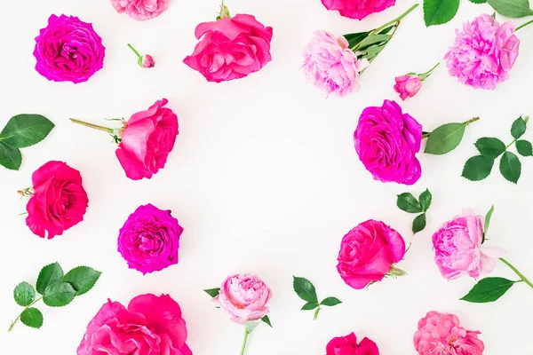 Нежные розовые цветы — стоковое фото