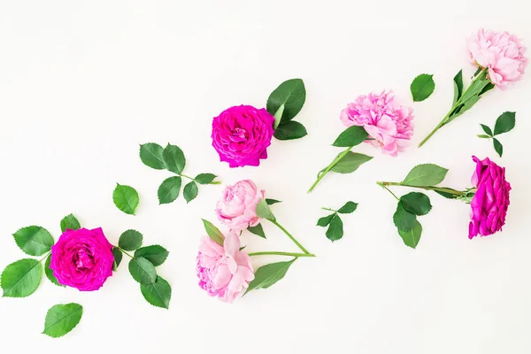 Flores rosadas tiernas — Foto de Stock