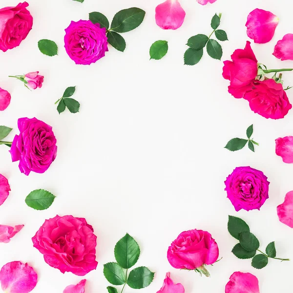 부드러운 핑크 장미 — 스톡 사진