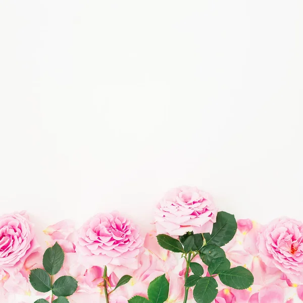 Rosas rosadas tiernas —  Fotos de Stock