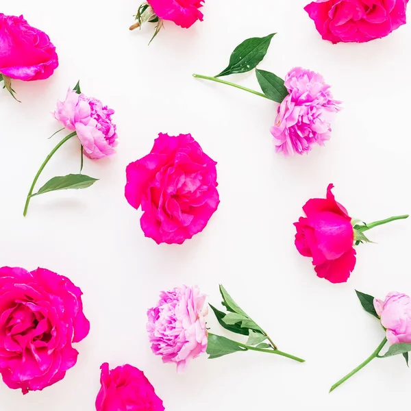 Flores rosadas tiernas — Foto de Stock