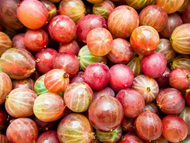 lezzetli yaz meyveleri.