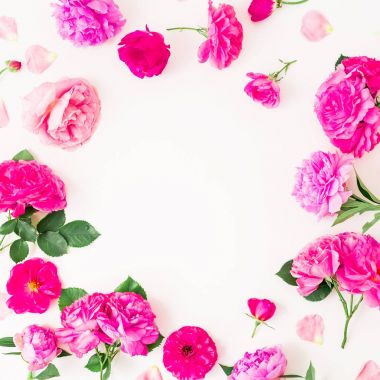 güzel pembe çiçekler