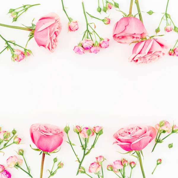 Tender pink  flowers — Stock Photo, Image