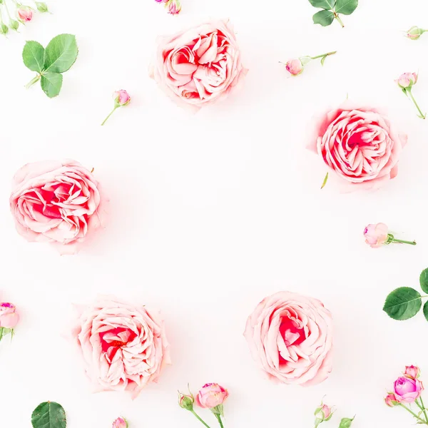 嫩粉色的花 — 图库照片