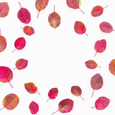 Kırmızı yaprak sonbahar desen