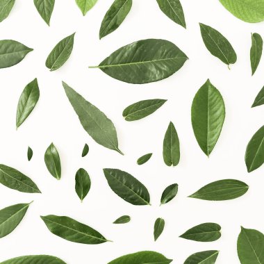 Yeşil yapraklardan oluşan yaratıcı bir düzen. 