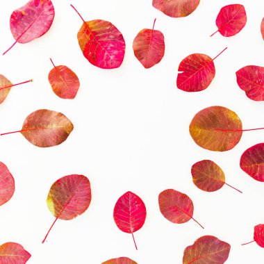 Çiçek desenli kırmızı yaprak 