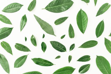 En az doğa kavramı. 