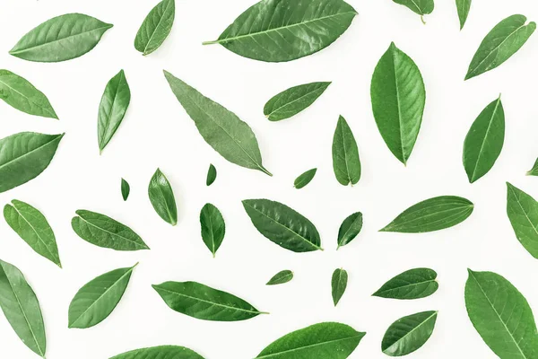 En az doğa kavramı. 