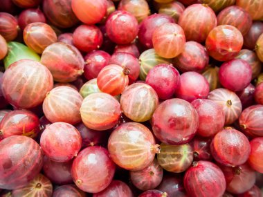 lezzetli yaz meyveleri.