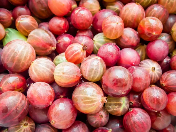 lezzetli yaz meyveleri.