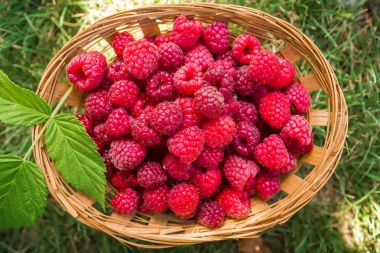 Ahududu sepeti, lezzetli taze çilek. 