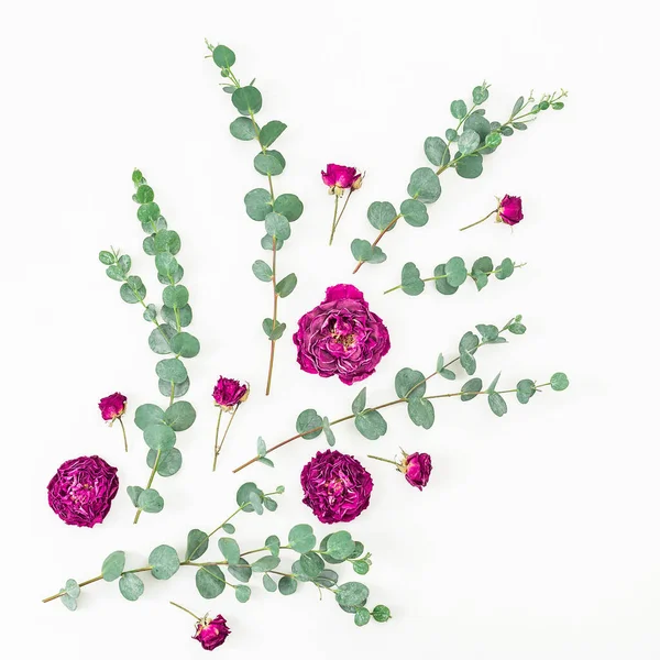 Roze rozen en bladeren — Stockfoto