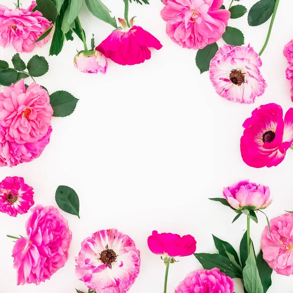Рамка из розовых пионских цветов — стоковое фото