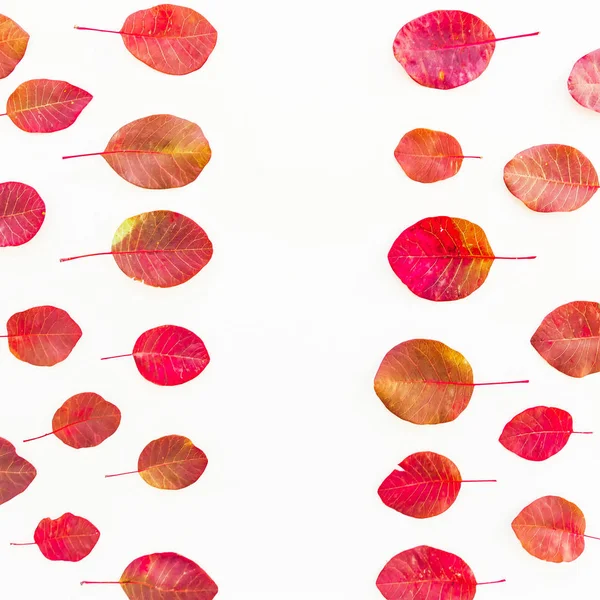 Blütenmuster der roten Blätter — Stockfoto