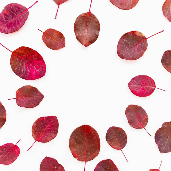 Blütenmuster der roten Blätter — Stockfoto