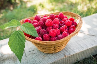 Ahududu sepeti, lezzetli taze çilek. 