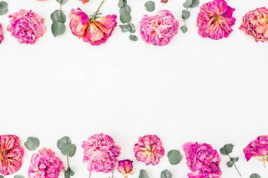 Pembe güller ve yaprakları