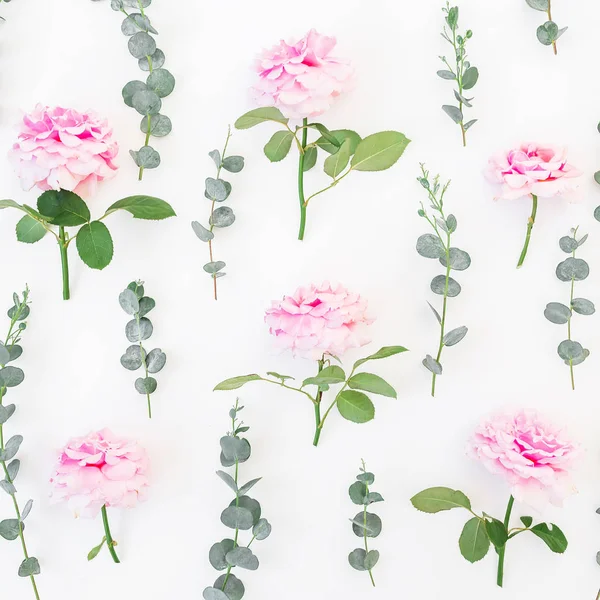 Rosas y hojas rosadas — Foto de Stock