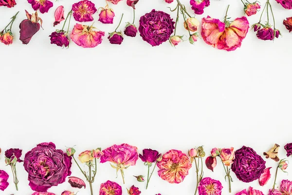 Moldura floral com rosas rosa secas — Fotografia de Stock