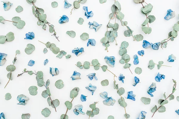 Květinový vzor modré květy — Stock fotografie