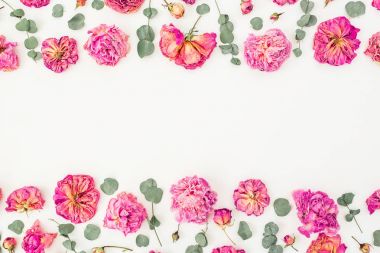 Pembe güller ve yaprakları