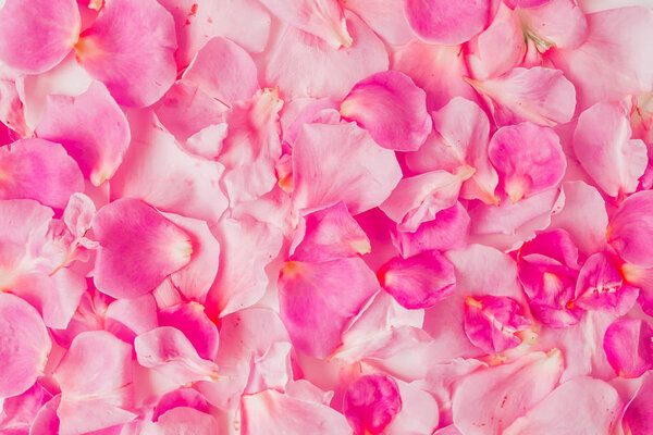 Tender pink petals background