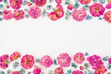 Pembe güller ve yaprakları