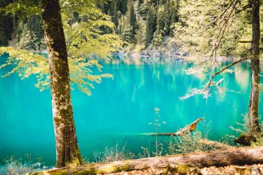  dağ göl manzaralı ve orman