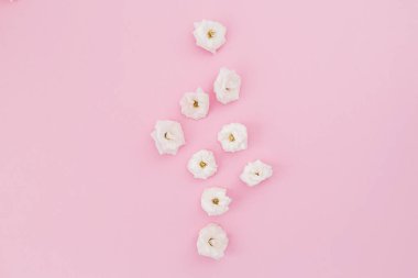 Beyaz güller, çiçek düzenleme 