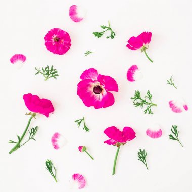 Beyaz arka plan üzerinde renkli çiçekler. 