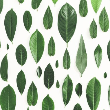 Yeşil yapraklardan oluşan yaratıcı bir düzen. 